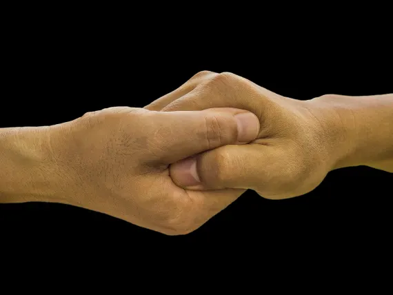 BlueFox Casino Stuðningur